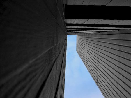 perspective